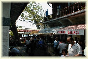 Fish restaurants in Anadolu Kavagi 